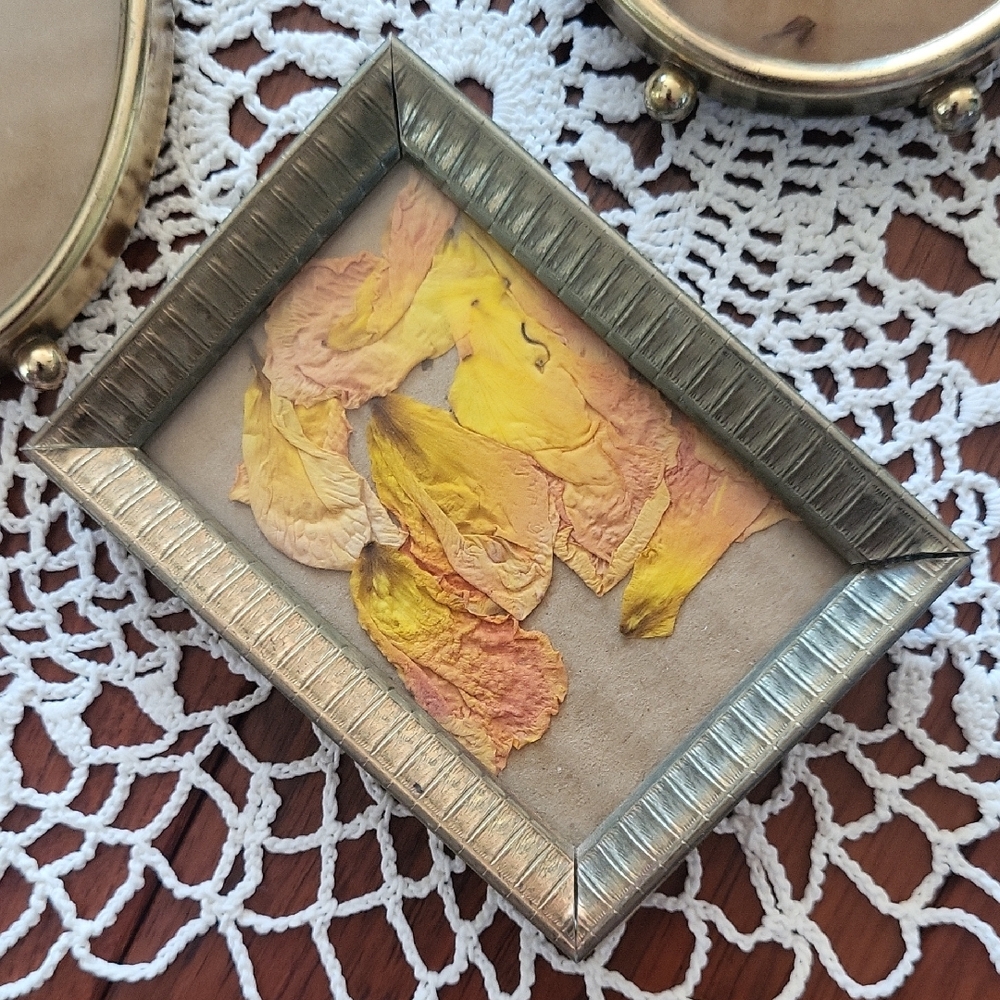 Vintage Brass Mini Picture Frames Oval and Rectangle 3 to 4 Inch Set of 3 - Picture 4 of 9